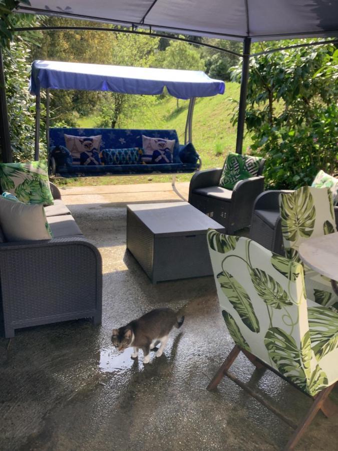 Charmant Appartement 2 Pieces Eccica-Suarella  Zewnętrze zdjęcie
