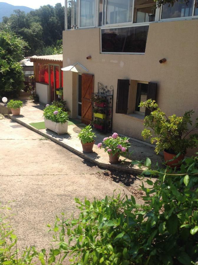 Charmant Appartement 2 Pieces Eccica-Suarella  Zewnętrze zdjęcie
