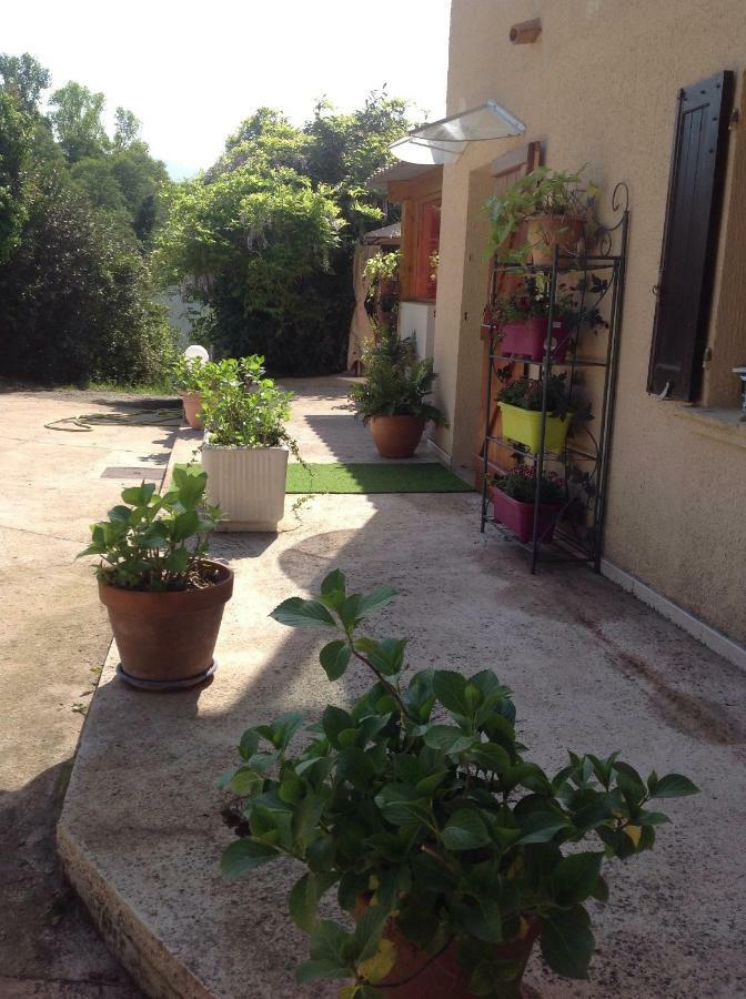 Charmant Appartement 2 Pieces Eccica-Suarella  Zewnętrze zdjęcie